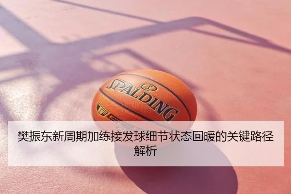 樊振东新周期加练接发球细节状态回暖的关键路径解析
