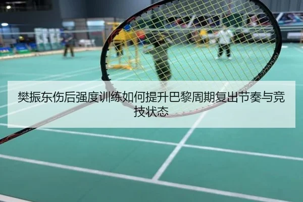樊振东伤后强度训练如何提升巴黎周期复出节奏与竞技状态